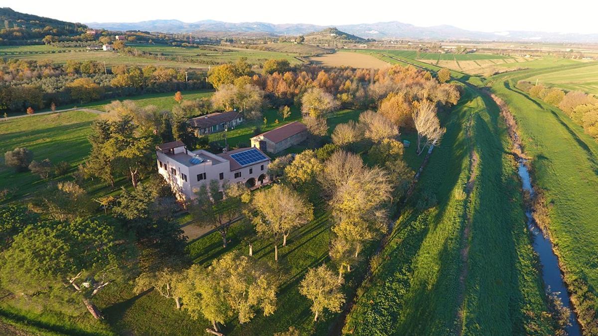 Agriturismo La Concia 준카리코 외부 사진