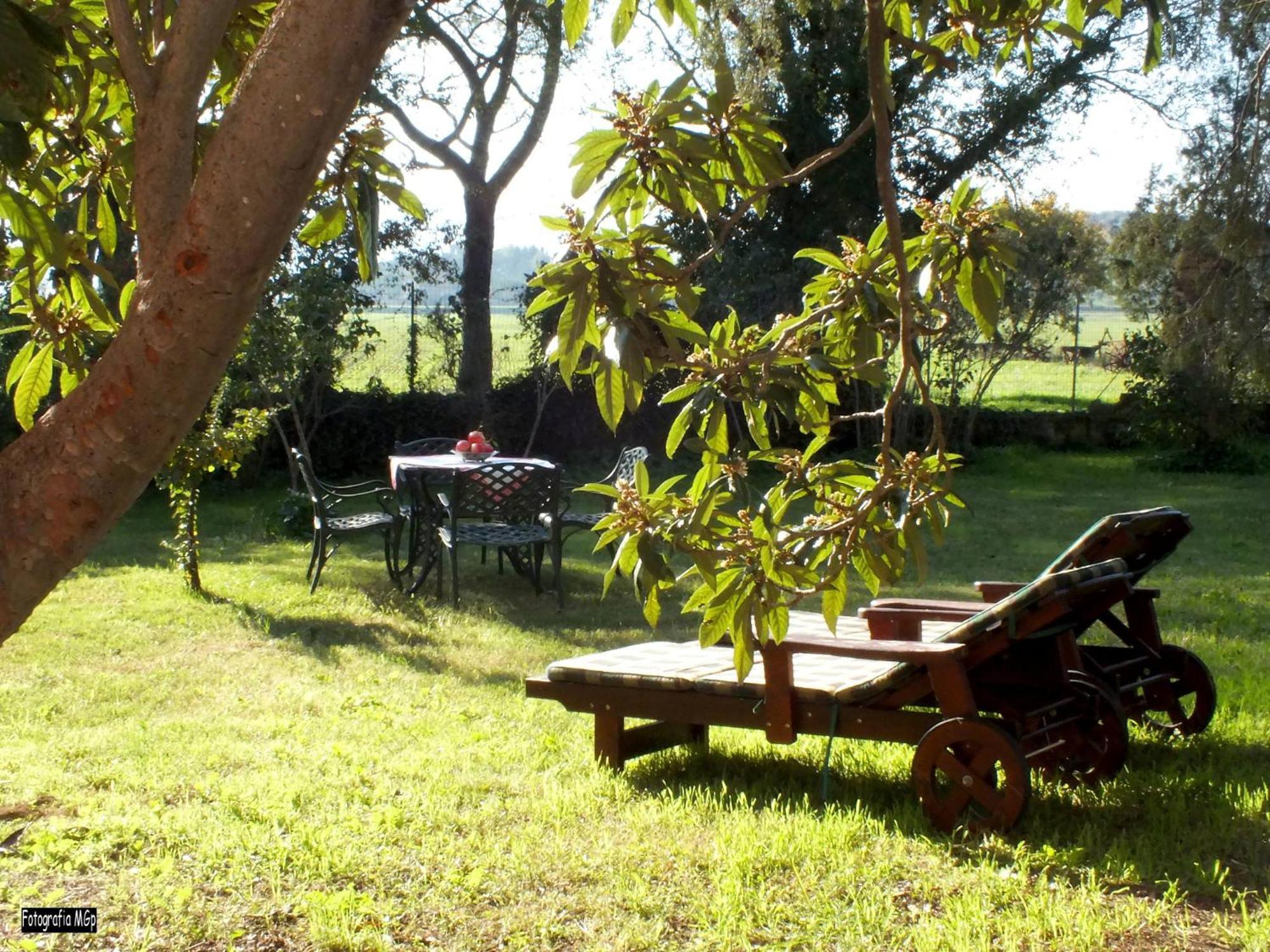 Agriturismo La Concia 준카리코 외부 사진